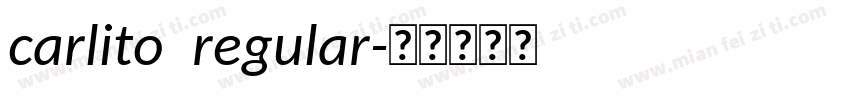 carlito  regular字体转换